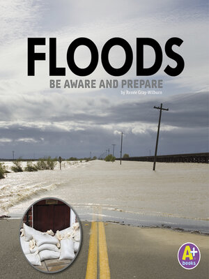 cover image of Floods